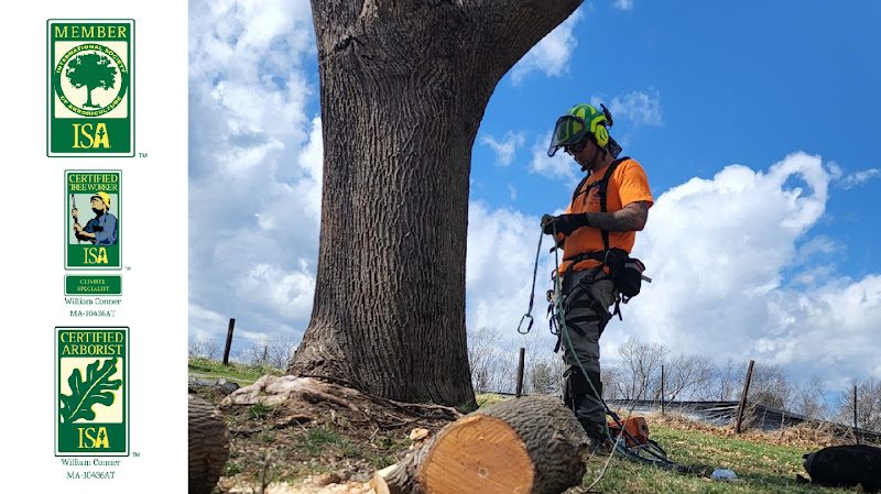 G & L Tree Care Solutions LLC