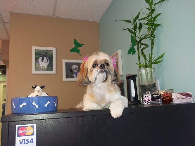 Happy Tails