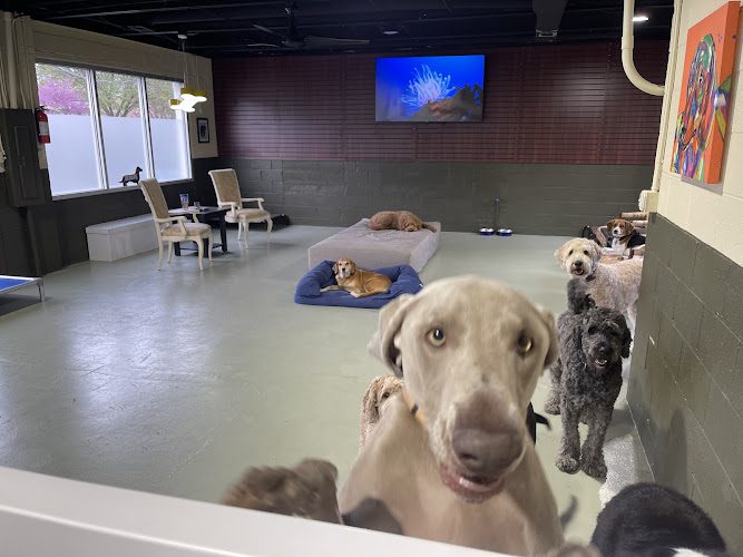 Dude’s Dog House & Spa